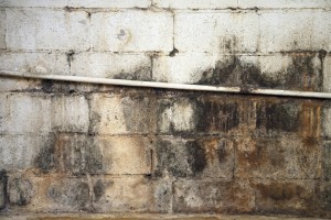 Mold Prevention is Possible