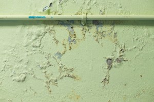 Common Causes of mold